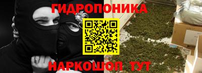 шишки Нарткала