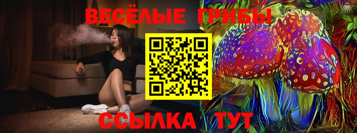 Псилоцибиновые грибы Magic Shrooms Черняховск