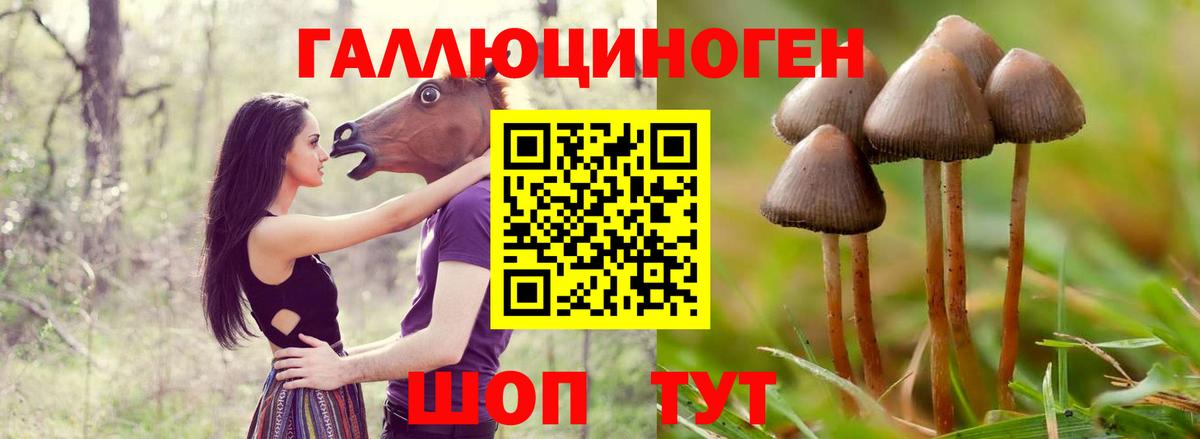Галлюциногенные грибы Magic Shrooms  Вход с VPN  Черняховск 